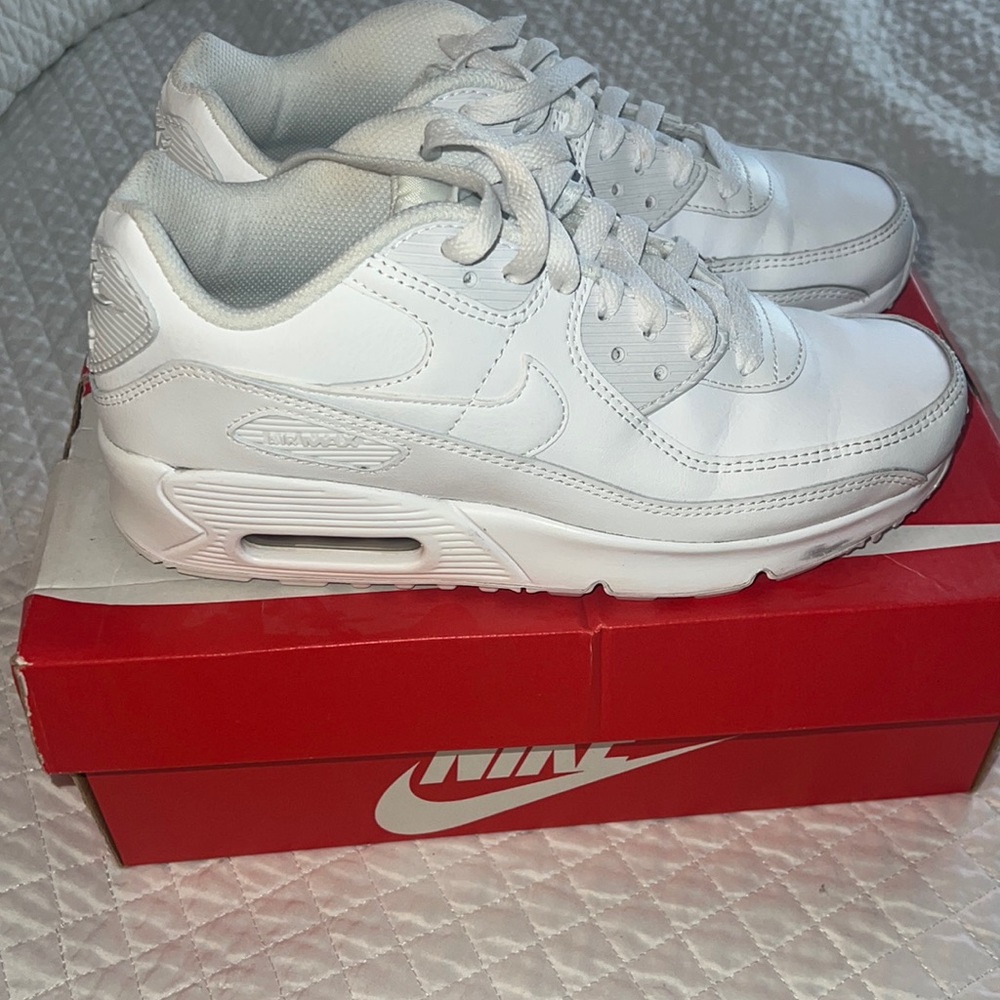 Nike airmax 90 LTR